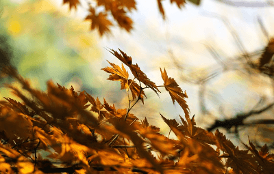 9월 인사말 모음집