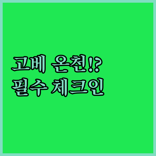 고베 숙소 예약 전 필수 확인 온천 ..