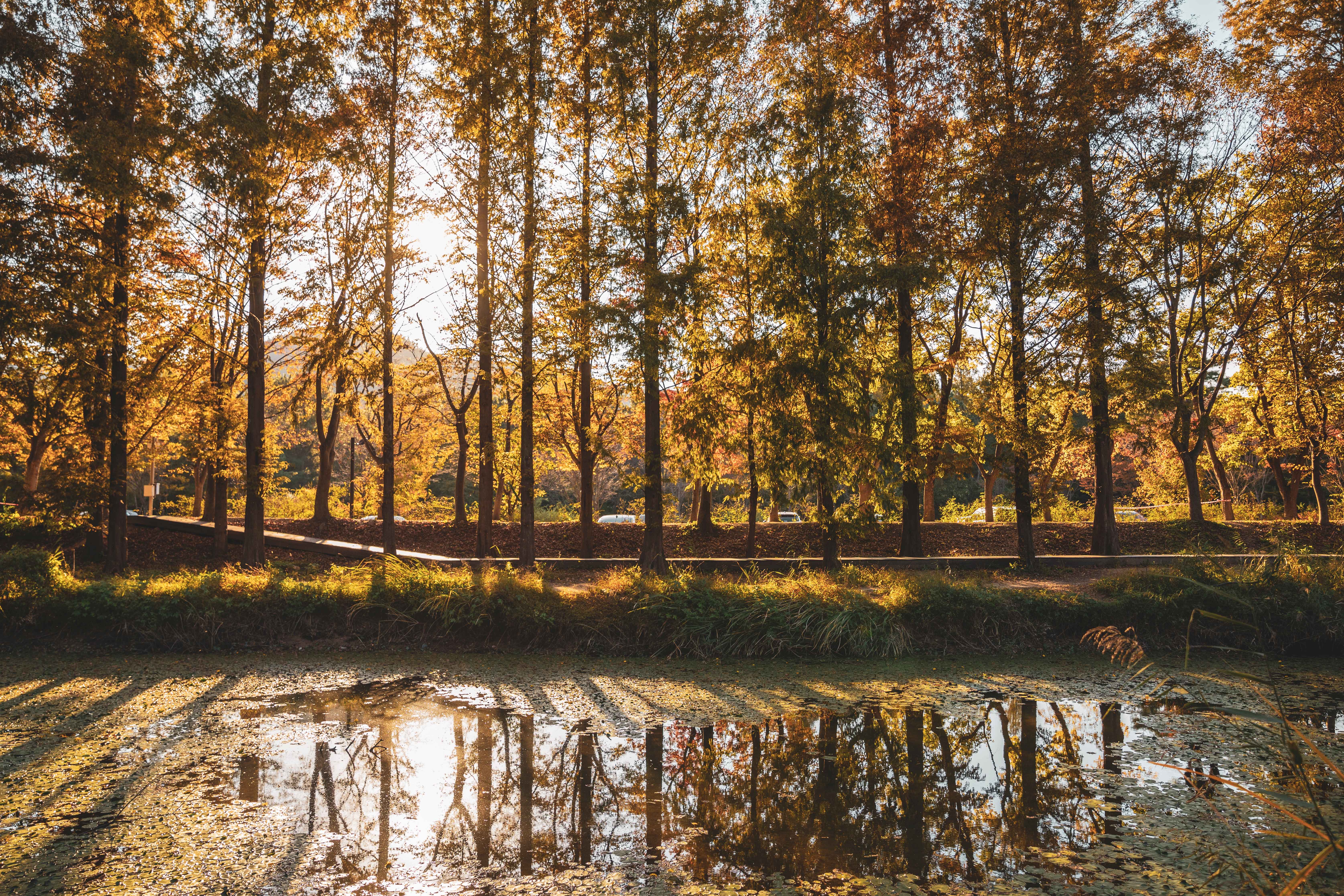 경북천년숲정원