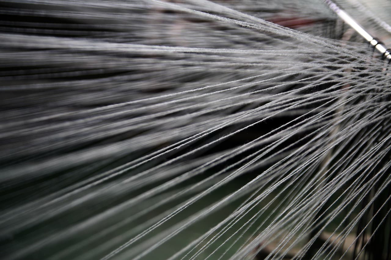 미생물에서 추출한 단백질 대체섬유: 지속 가능한 미래 섬유 산업의 혁신