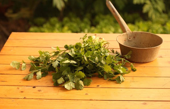 고대 마야 문명의 주파수 및 소리 진동 치료법 연구