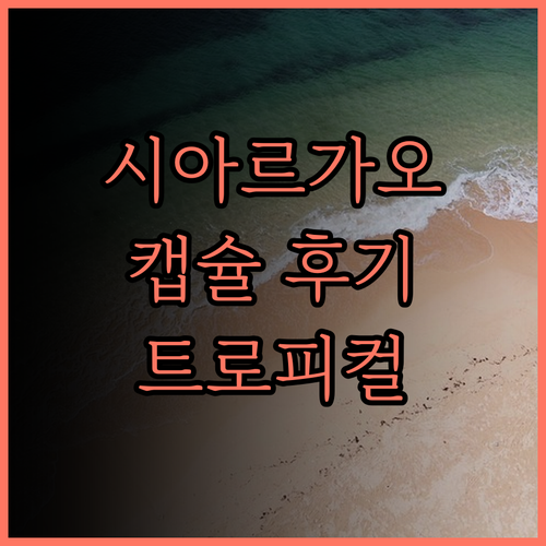 트로피컬 템플 시아르가오 후기 깨끗하