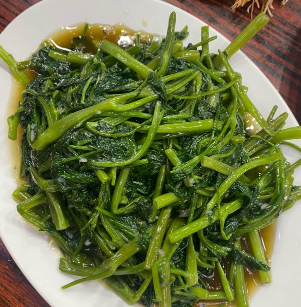 모닝글로리