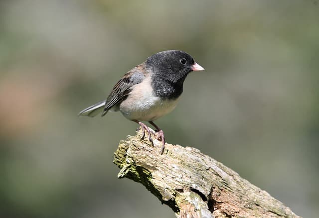 피부 트러블을 자연적으로 해결하는 비결: 천연 팩과 생활 습관