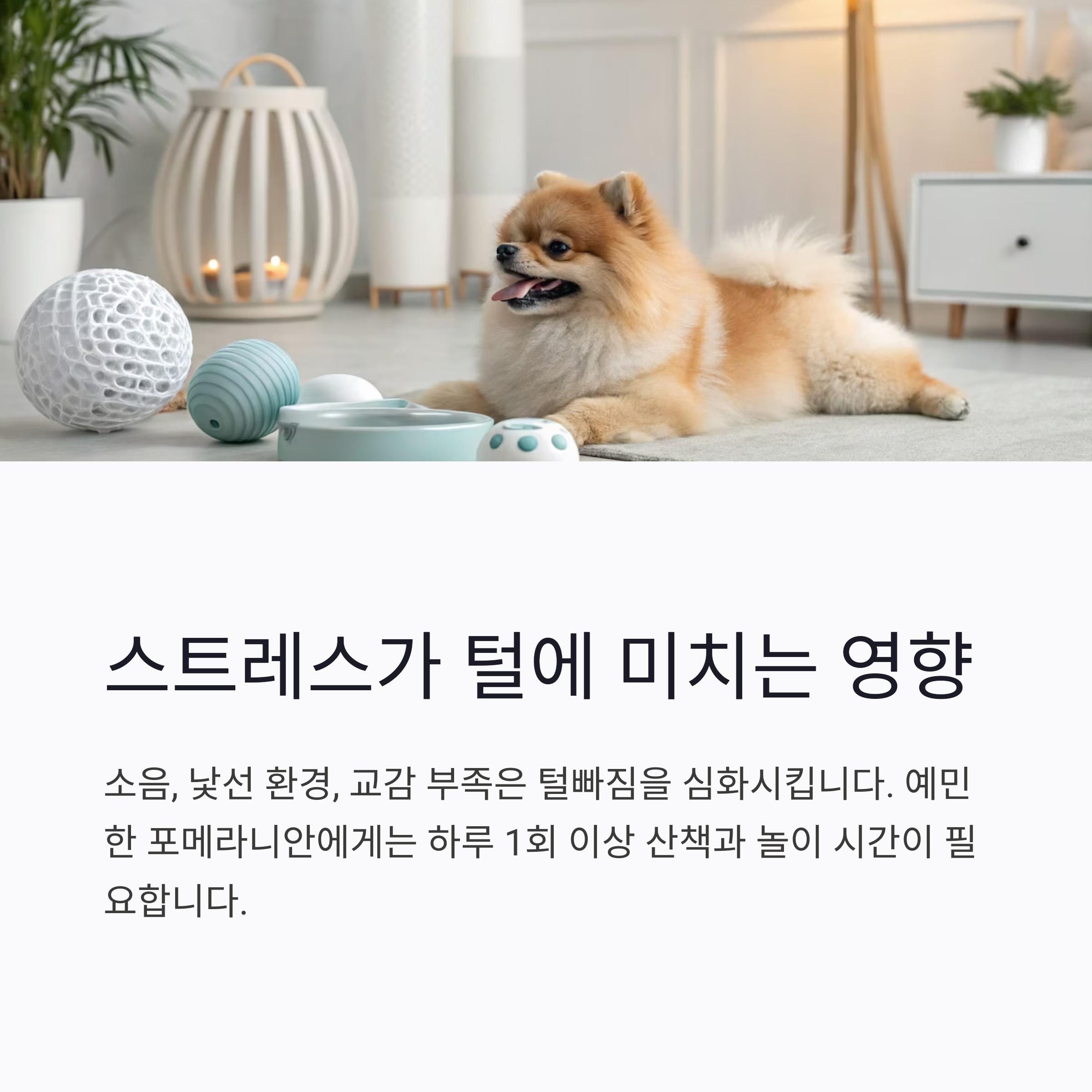 스트레스가 털에 미치는 영향
