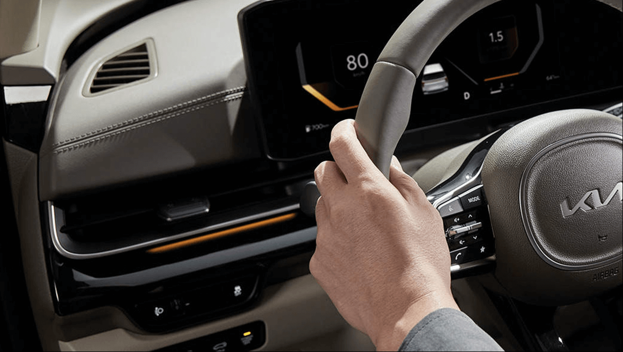 카니발 하이브리드