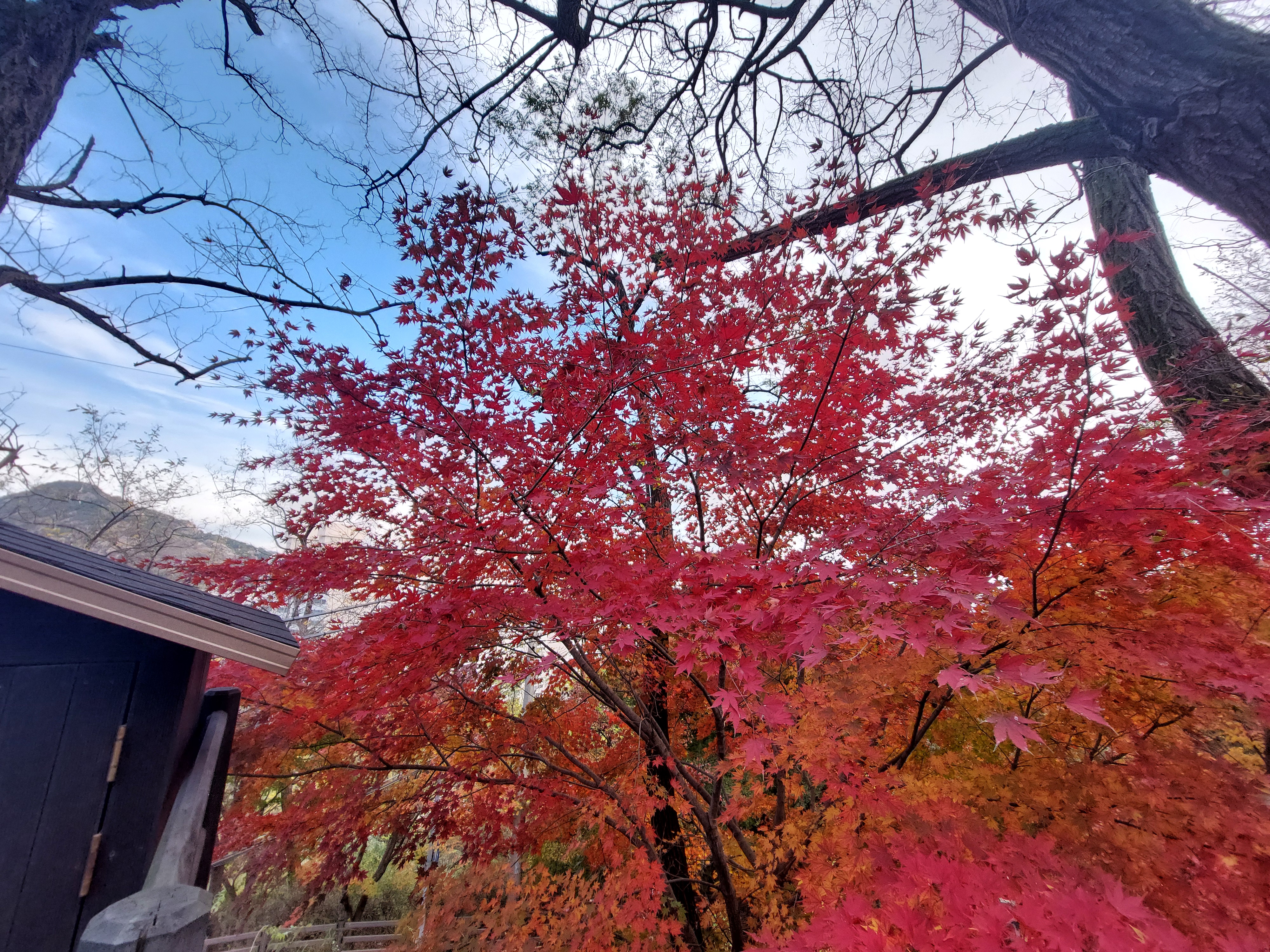안산