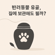 조용히 놓인 유골함