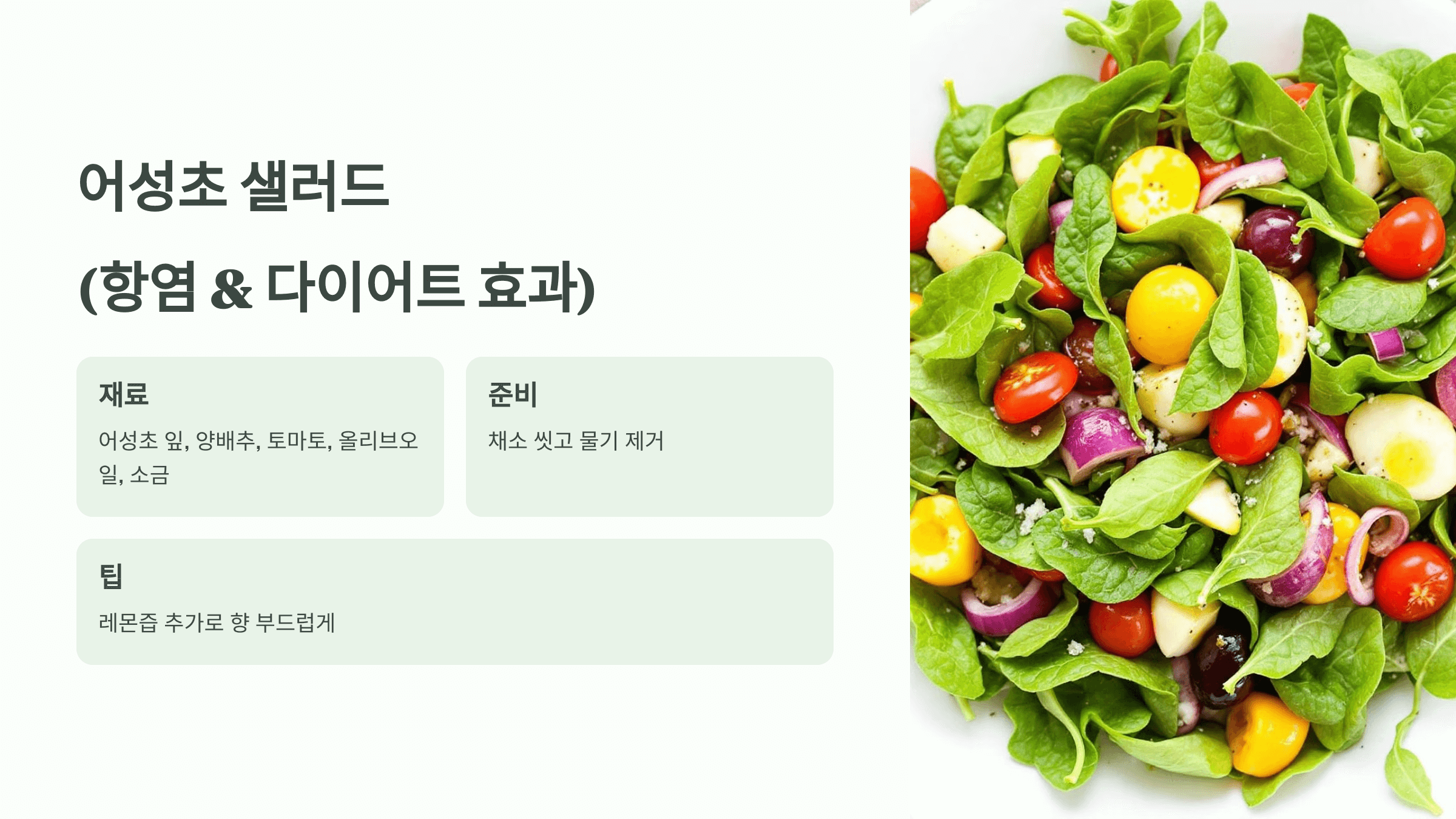 어성초 사진입니다.