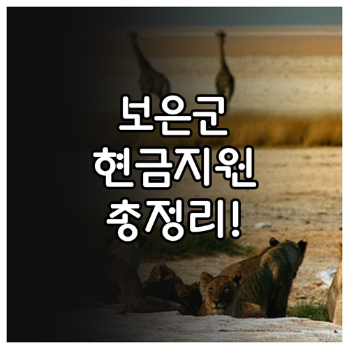 보은군 지원금 총정리 출산 축하금 농..