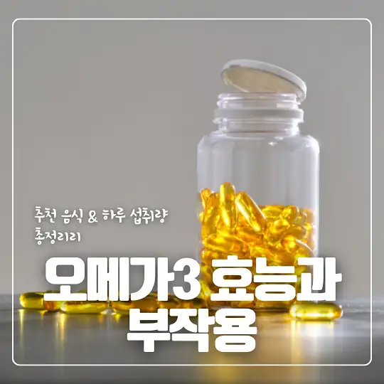 오메가3 효능과 부작용
