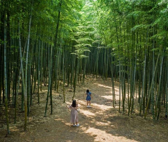 부산 2박3일 여행코스