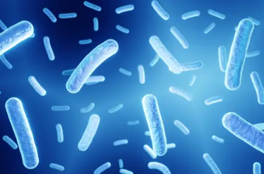 식품의 변질 원인 : 미생물