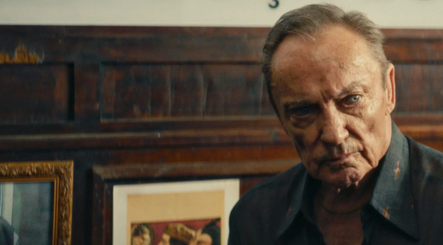 시크릿 에이전트 영화 리뷰