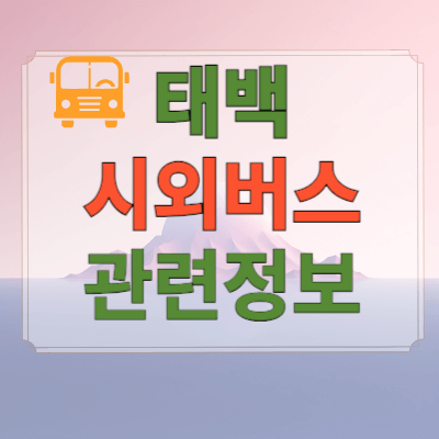 태백시외버스