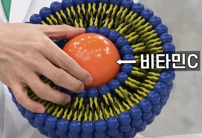 리포좀 비타민c