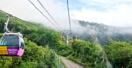 발왕산-케이블카