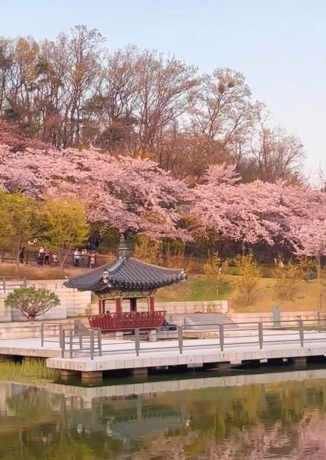 북서울꿈의숲 관련사진