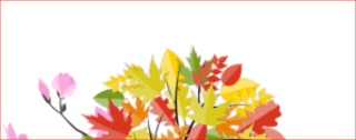 background-size: cover