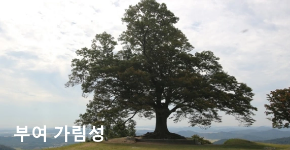 조선 정신과 의사 유세풍 촬영장소