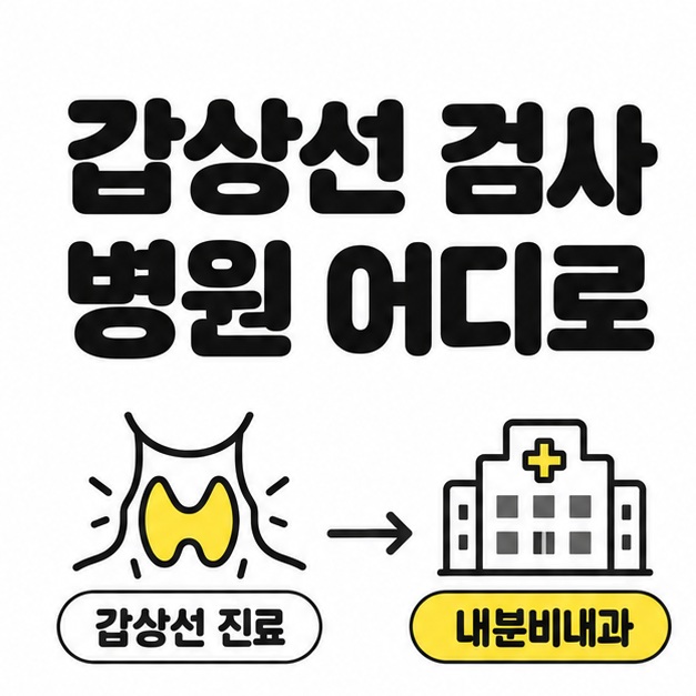 갑상선 검사 병원 어디로 제목과 갑상선 진료를 내분비내과로 연결한 안내 도식