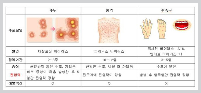 홍역,수두,수족구의 증상구분