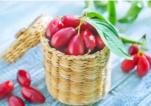 산수유 효능효과 먹는 방법과 부작용