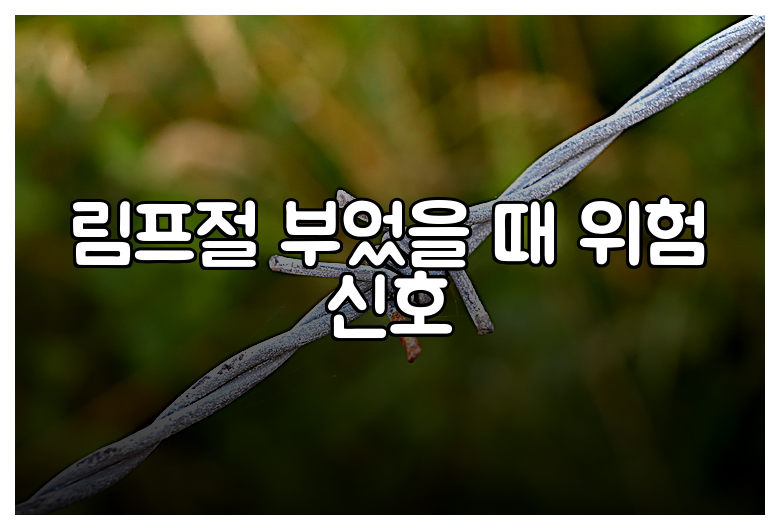 림프절 부었을 때 위험 신호