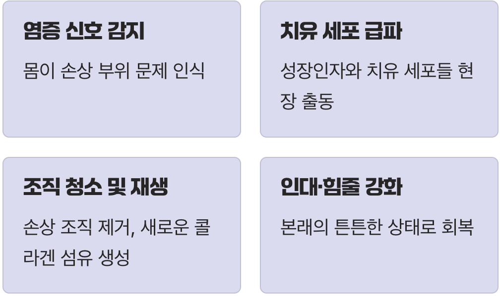 우리 몸속의 '119 구조대'를 부르다