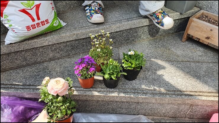 구입한-꽃들