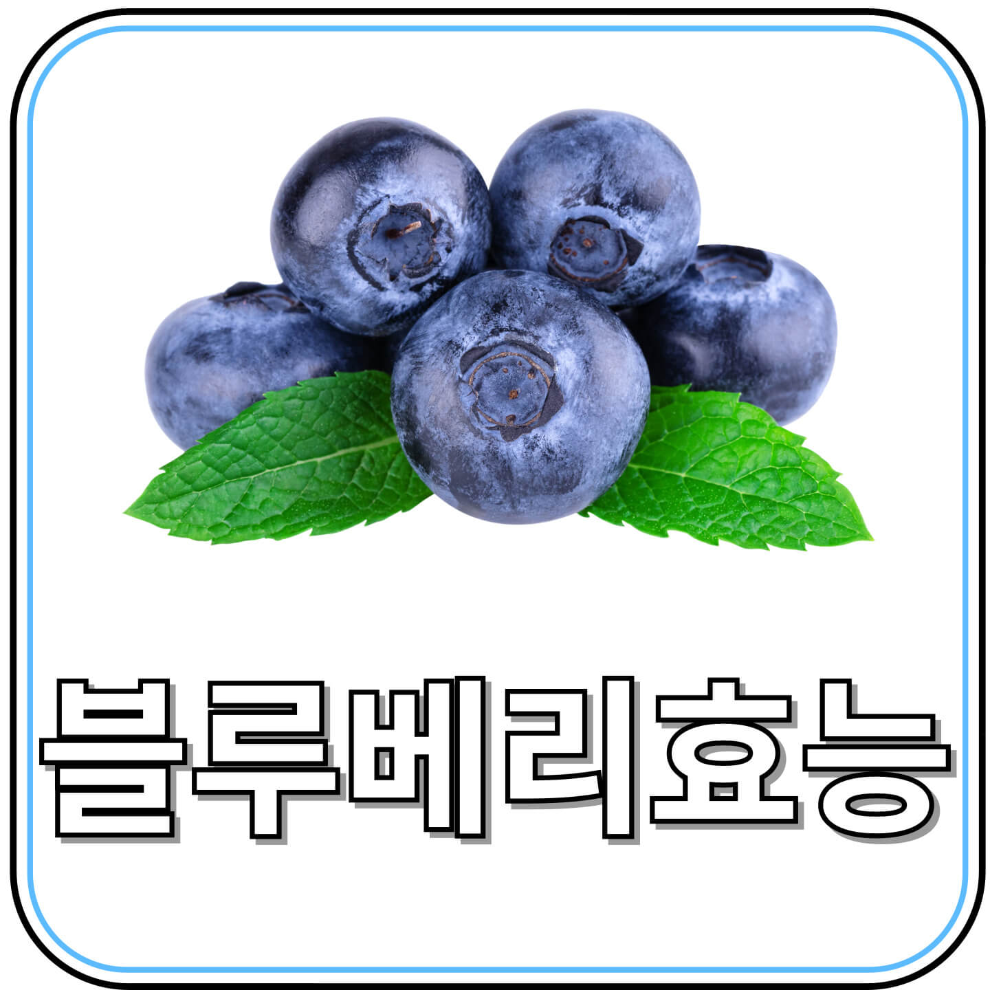 블루베리 효능 총정리: 슈퍼푸드의 힘