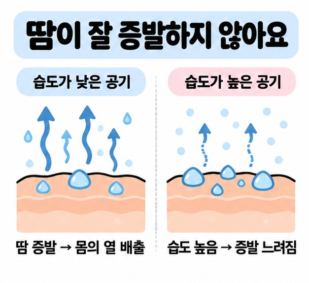 높은 습도에서 땀이 잘 증발하지 않는 원리를 피부와 수증기로 설명한 그림