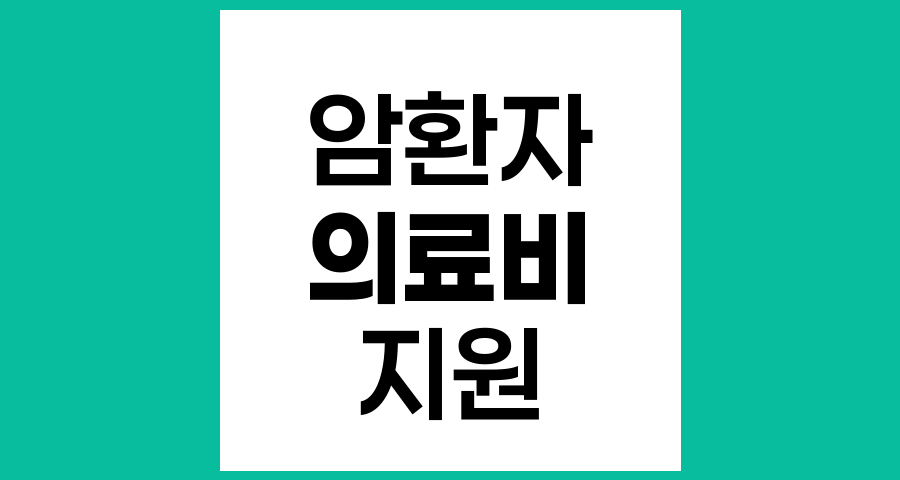 성인 암환자 의료비 지원 정책 종합 안내