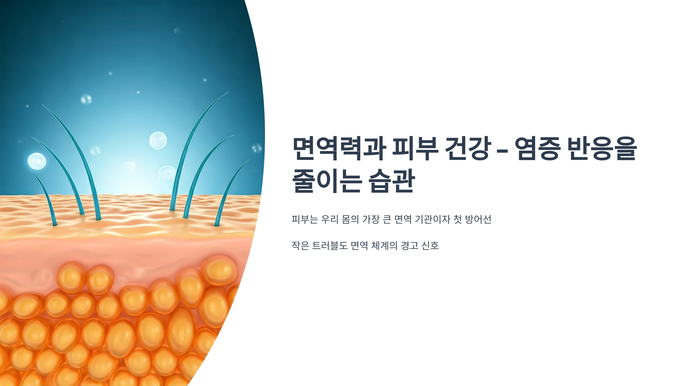 염증 반응을 줄이는 습관