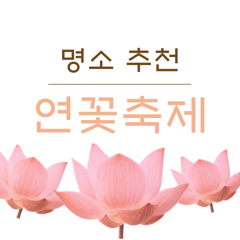 연꽃축제