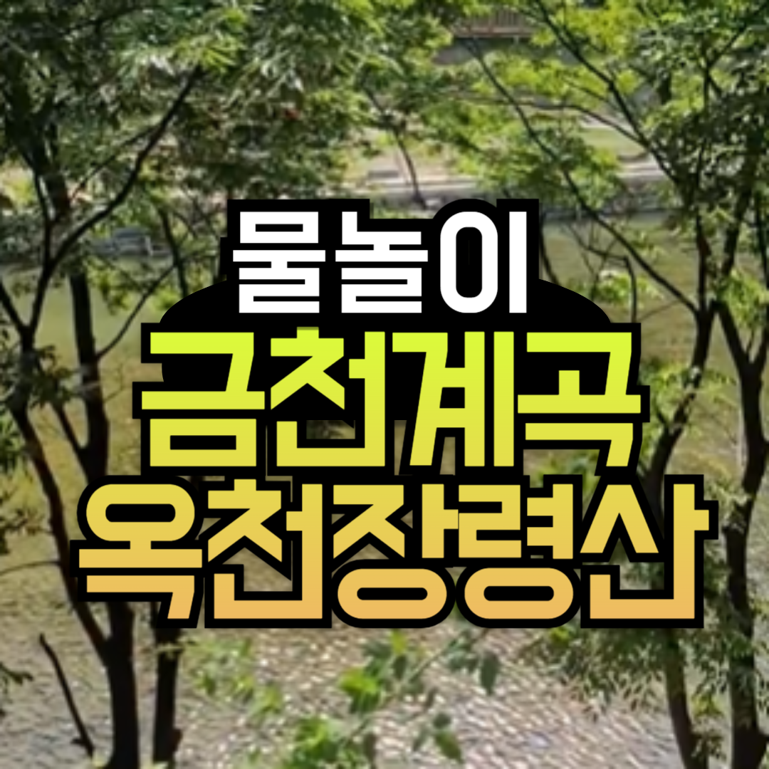 장령산 자연휴양림 예약 물놀이 정자 이용료