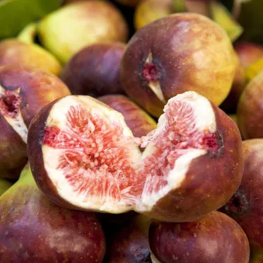 무화과 먹는 방법에 대한 보관팁_8