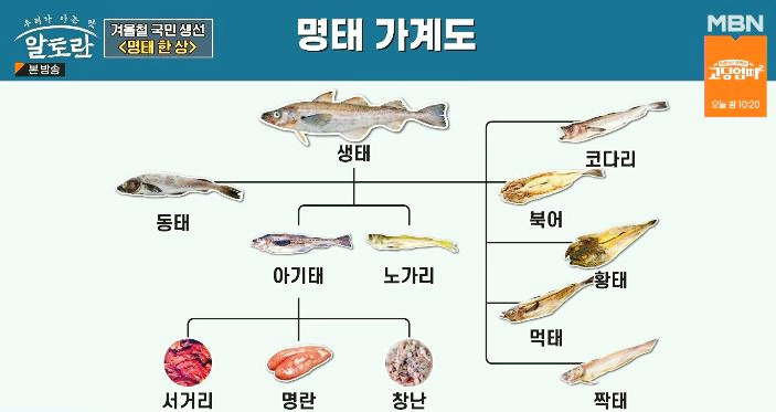 명태의 효능