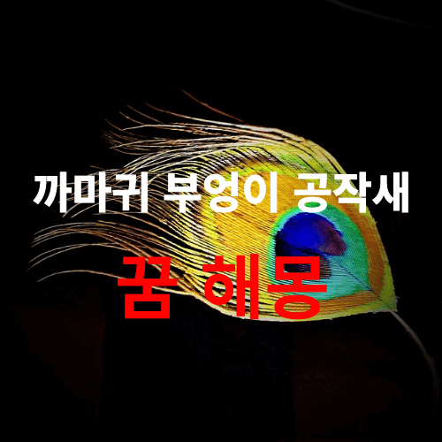 까마귀 공작새 부엉이가 꿈속에서 나오면 어떤 의미 일까요? "무료 꿈 해몽 풀이"