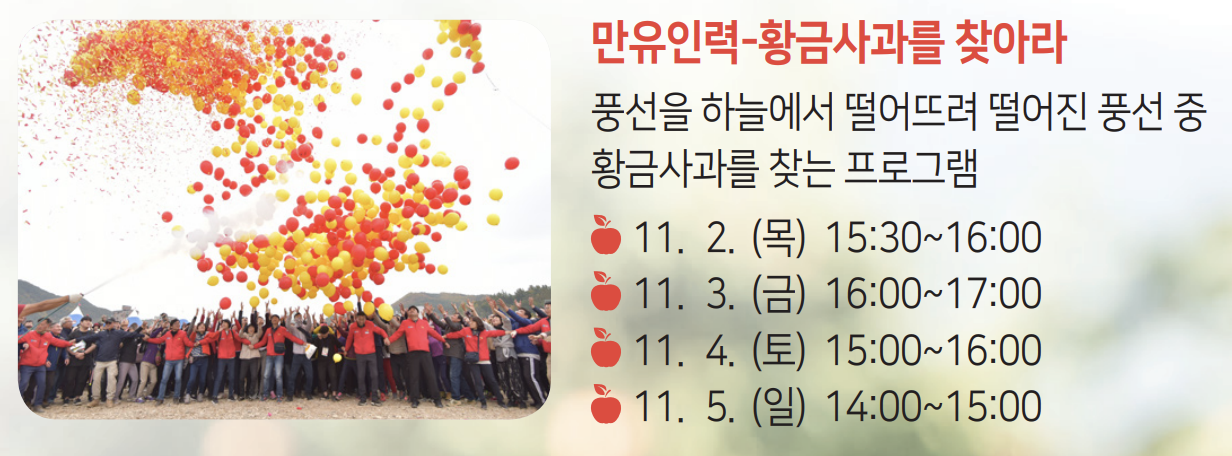 청송사과축제 대표 프로그램