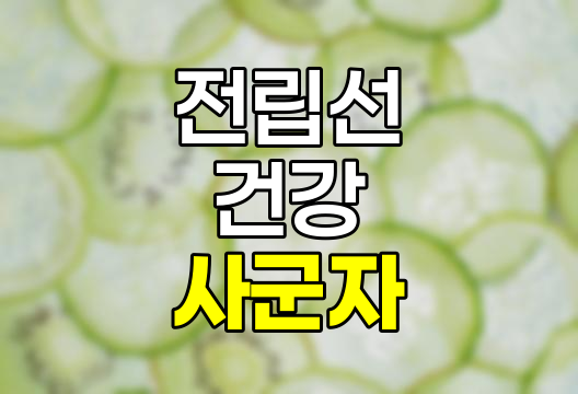 전립선 사군자, 가격, 효능, 성분, 복용법 상세 분석 관련 정보