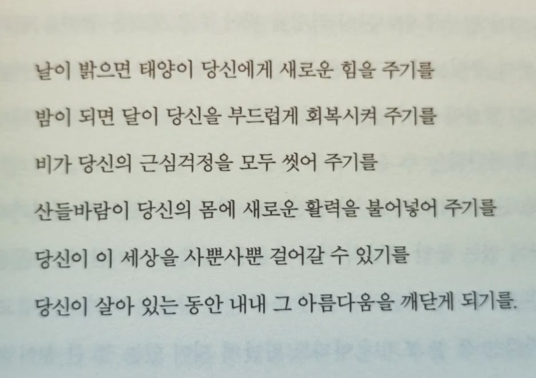 김욱동 인디언의 속삭임