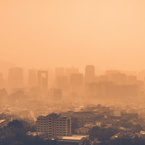 미세먼지 관련주 대장주 테마주 수혜주 TOP5