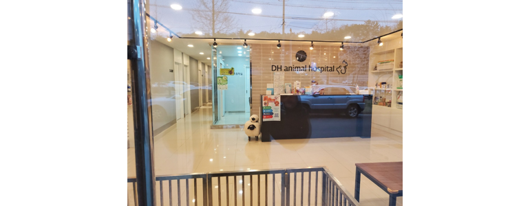 포항시 북구 동물병원