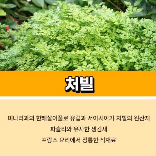 처빌
