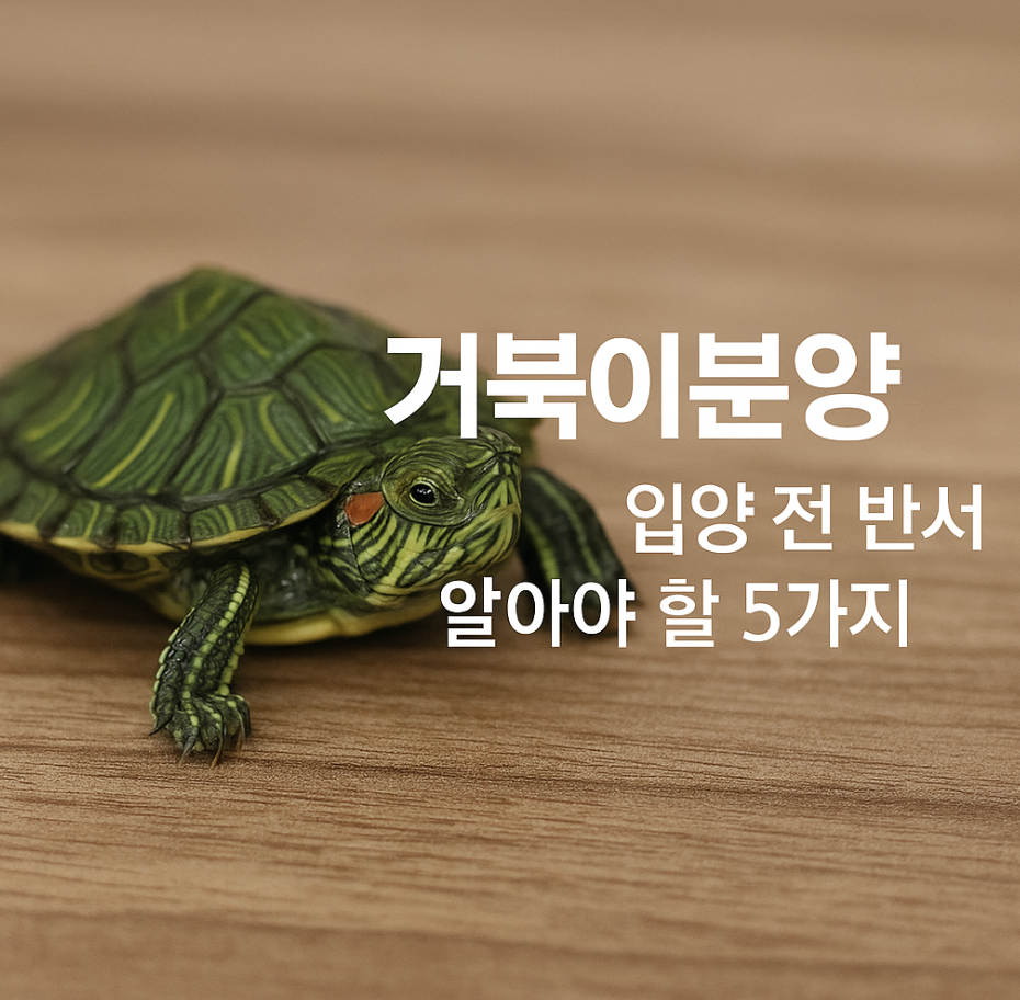 거북이분양, 입양 전 반드시 알아야 할 5가지