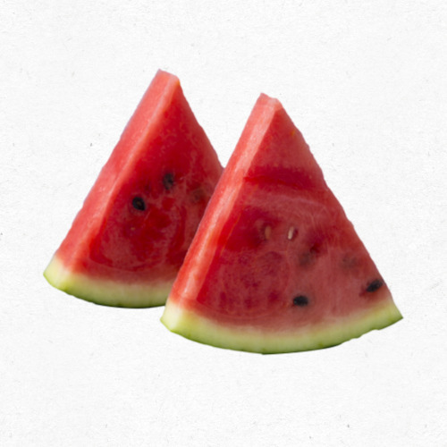 수박 큐브 바닥에 키친타월을 깔아 과즙 흡수