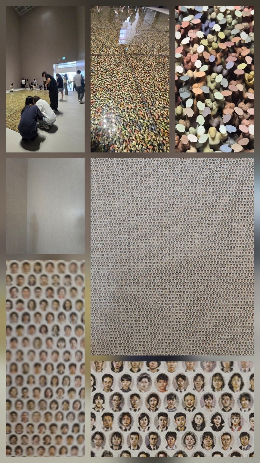 국립현대미술관 서도호 작품