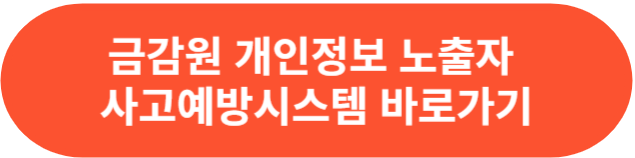 금융감독원 개인정보노출자사고예방 시스템