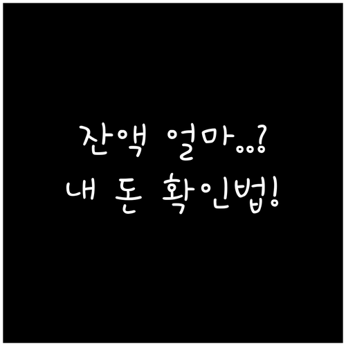 청년문화예술패스 마이페이지 잔액 조회..